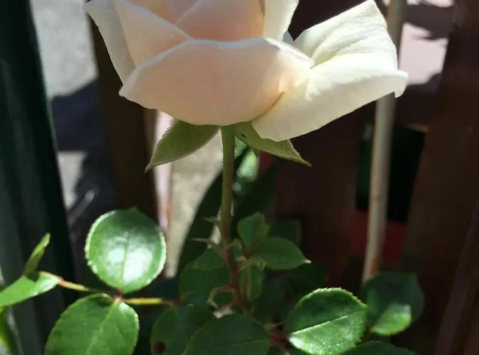 Klammer Bed & Breakfast 3*